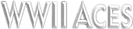 WWII Aces logo for Wii
